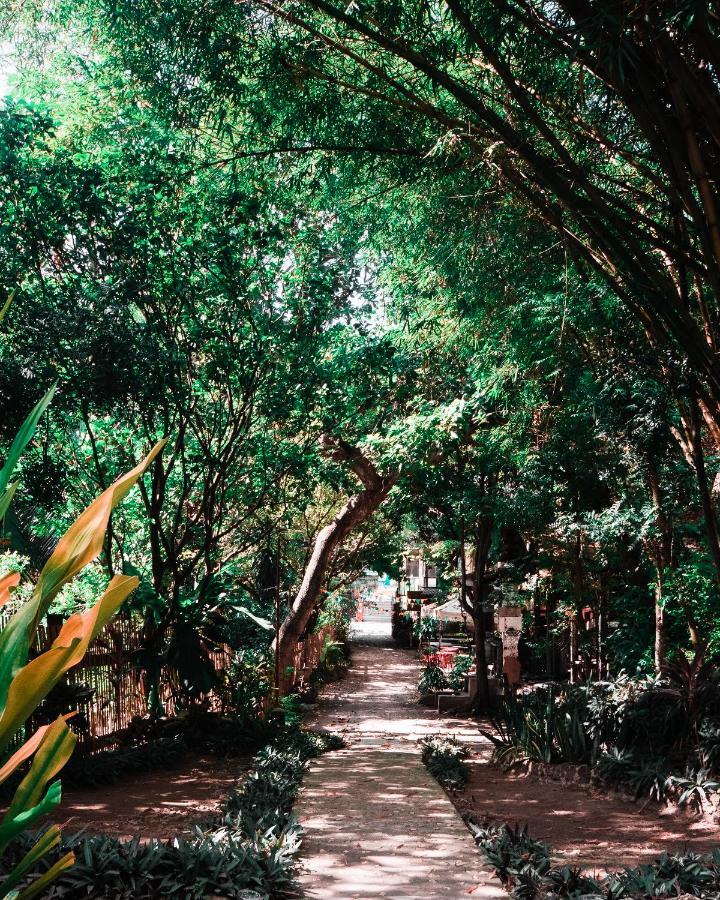 Oasis Balili Heritage Lodge Tagbilaran City Exterior foto